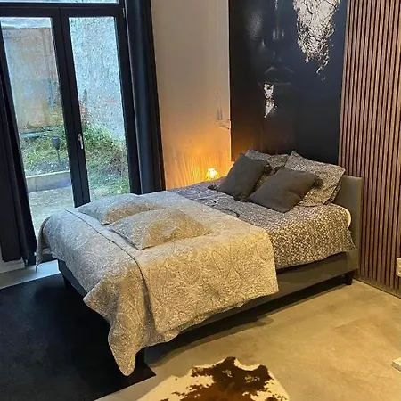 Apartament Garden In Center Antwerpia